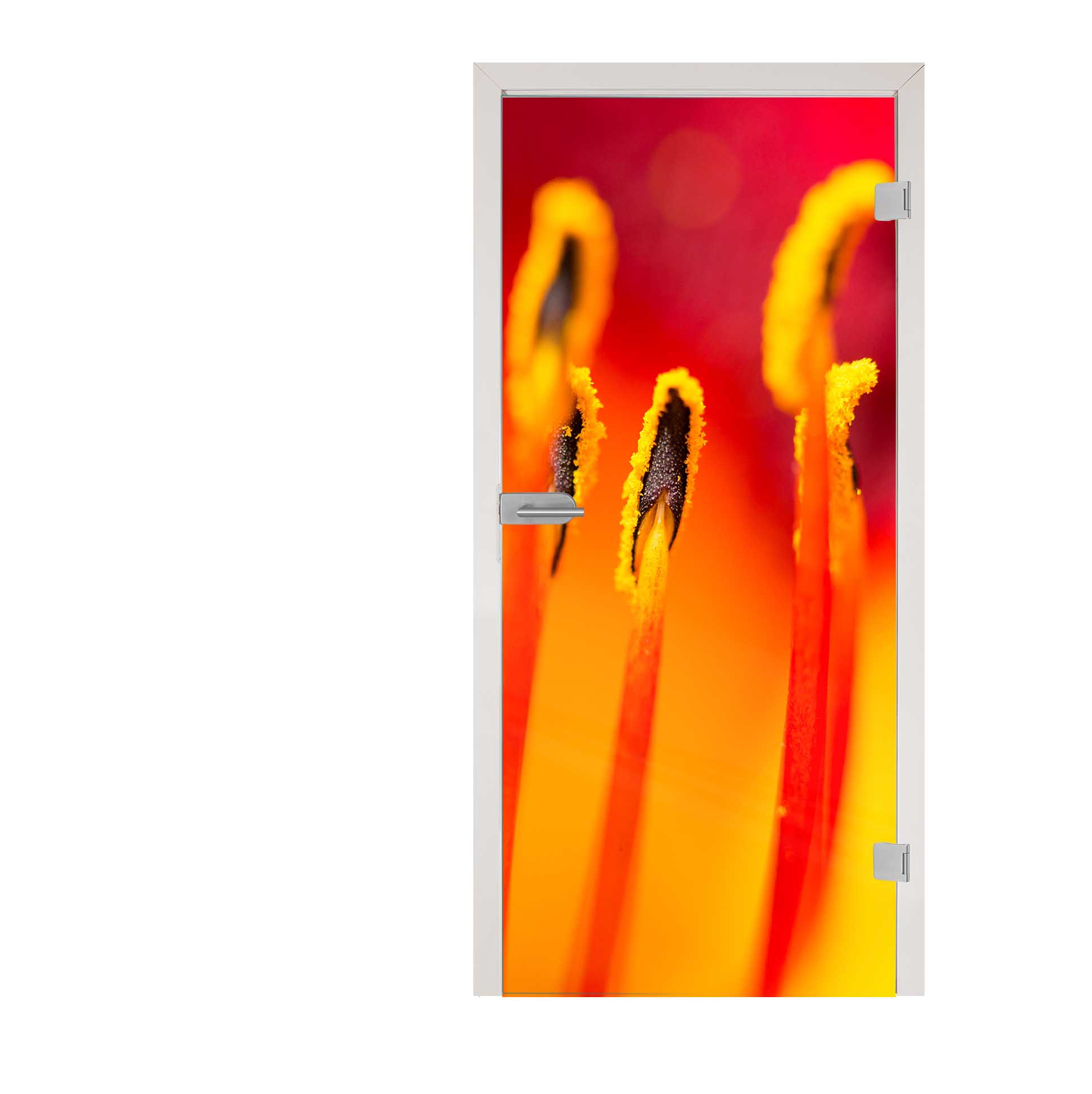 Glastür " Blüte 2 " Floatglas  