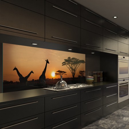 Glasbild Afrika - 1001