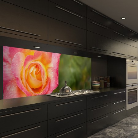 Glasbild Rose - 1046